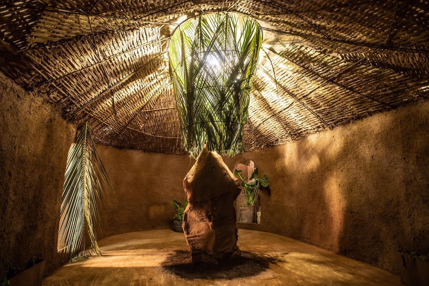 The Roots of Our Hands, Deep as Revolt: Entangled Colonialities of the Green